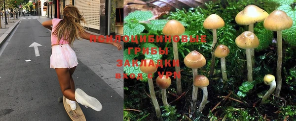 спиды Медногорск