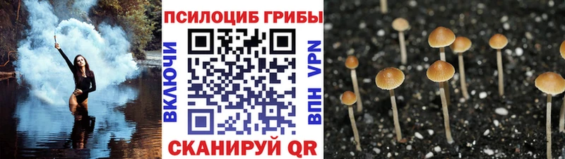 Псилоцибиновые грибы Psilocybine cubensis  hydra маркетплейс  Прокопьевск 